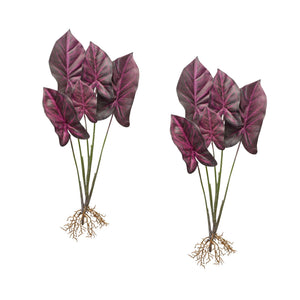 Burgandy-caladium-plant-with-roots-accent-(set-of-2)-Artificial-Flowering-Plants