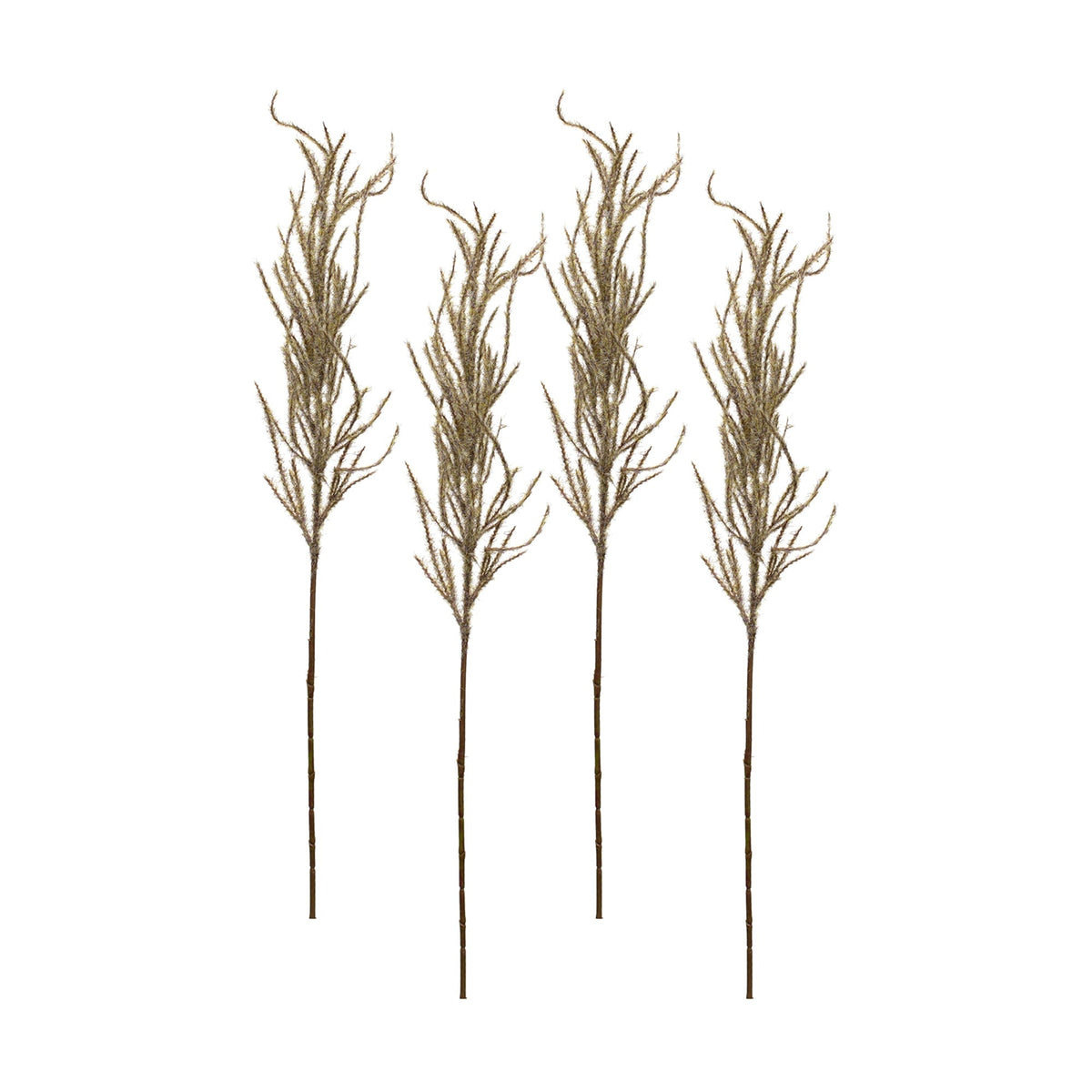 Flocked-Beige-Pampas-Grass-Spray-(Set-of-4)-Artificial-Flowering-Plants