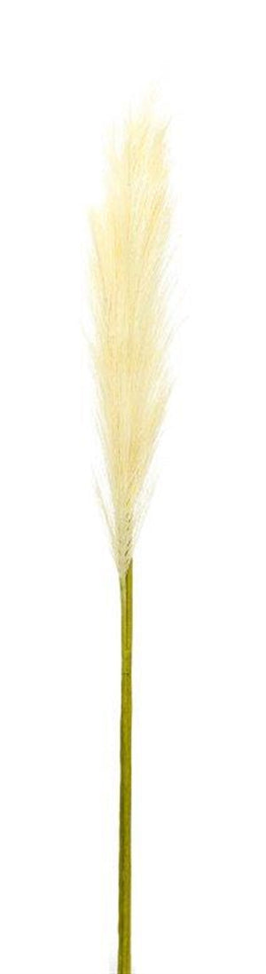 Cream Pampas Gass Stem (Set of 4)