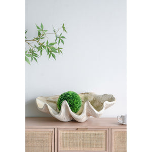 Large Clam Shell Accent 25.3x16.5x8.5"
