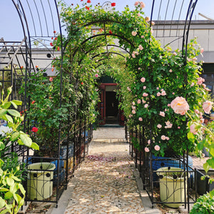 Metal Garden Arch With Two Plant Stands Wide High Climbing Plants Support Rose Arch Outdoor - Black