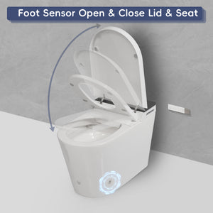 Tankless Smart Toilet With Bidet Built In