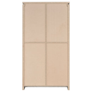 Myerson - 2 Door Tall Cabinet - Gray