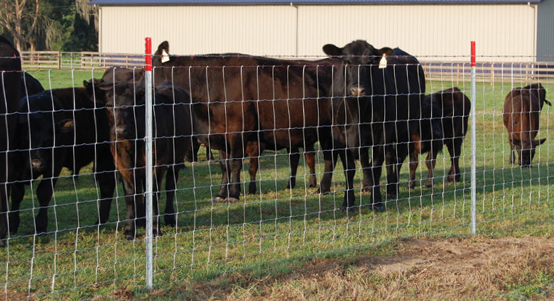 Farm Fence 4ft x 328ft 14-Gauge Heavy Zinc Coating Cattle Fence