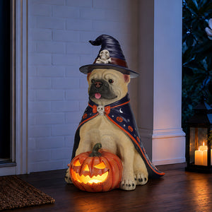 Halloween Bulldog Witch Statue, LED Light Up Jack-O-Lantern Pumpkin