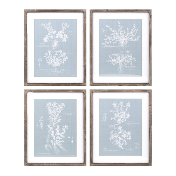 Wood-framed-encyclopedia-floral-outline-under-glass-(set-of-4)-Wall-Art
