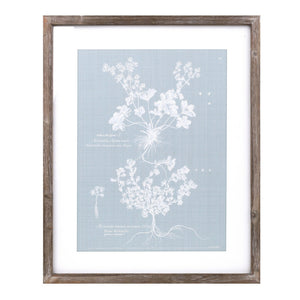 Wood framed encyclopedia floral outline under glass (set of 4)