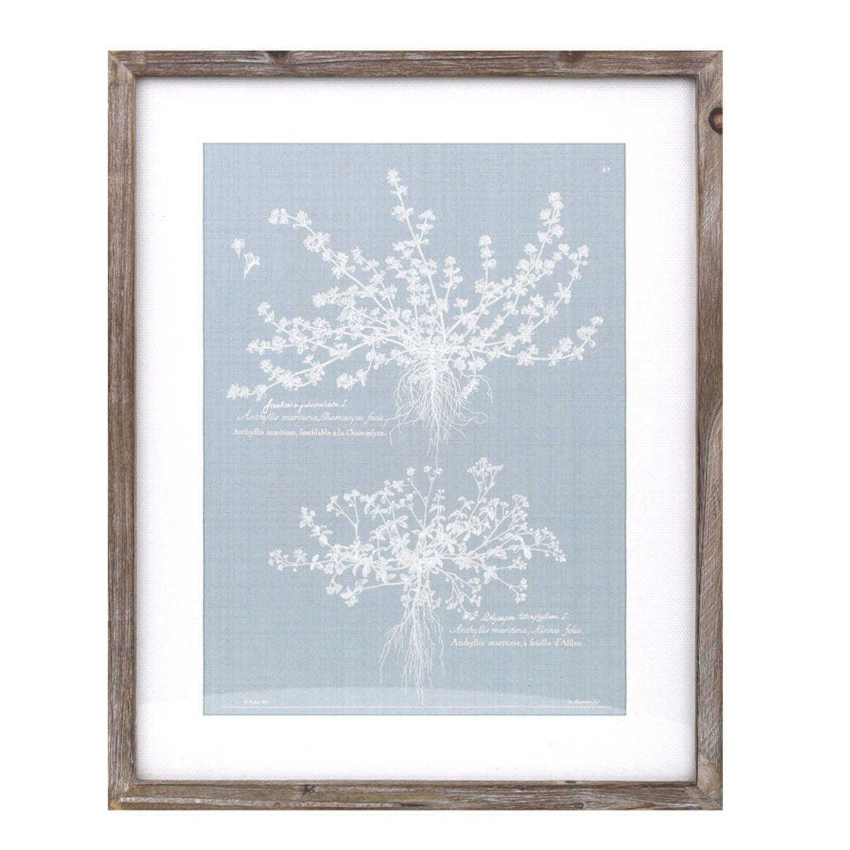 Wood framed encyclopedia floral outline under glass (set of 4)