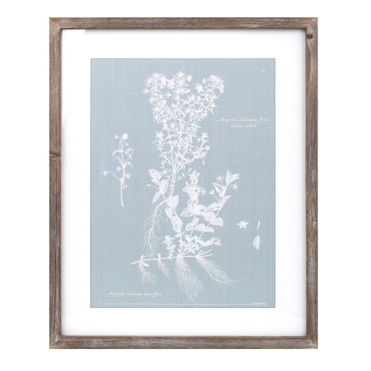 Wood framed encyclopedia floral outline under glass (set of 4)
