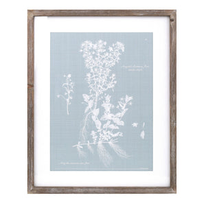 Wood framed encyclopedia floral outline under glass (set of 4)