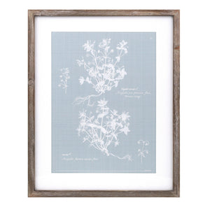 Wood framed encyclopedia floral outline under glass (set of 4)