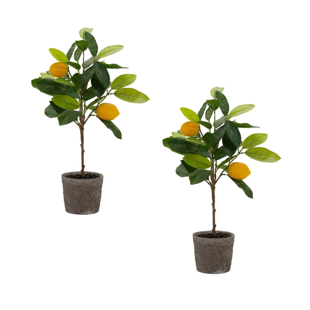 Lemon-fruit-silk-tree-with-pot-(set-of-2)-Artificial-Trees