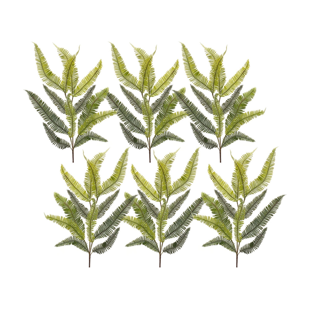 Varigated-fern-spray-(set-of-6)-Artificial-Flowering-Plants