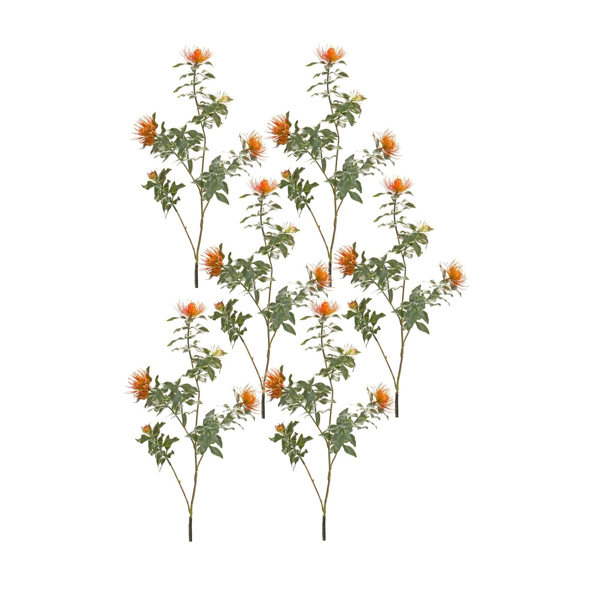 Orange-Flocked-Protea-Spray-(Set-of-6)-Artificial-Flowering-Plants