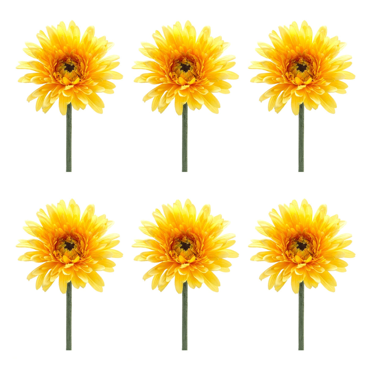 Gerbera daisy floral stem (set of 6)