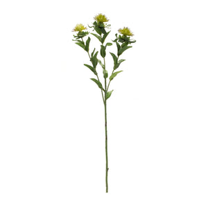 Green Thistle Floral Spray (Set of 6)