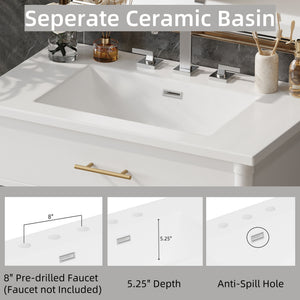 Bathroom Vanity With Sink, Soft Close Doors And Adjustable Shelf
