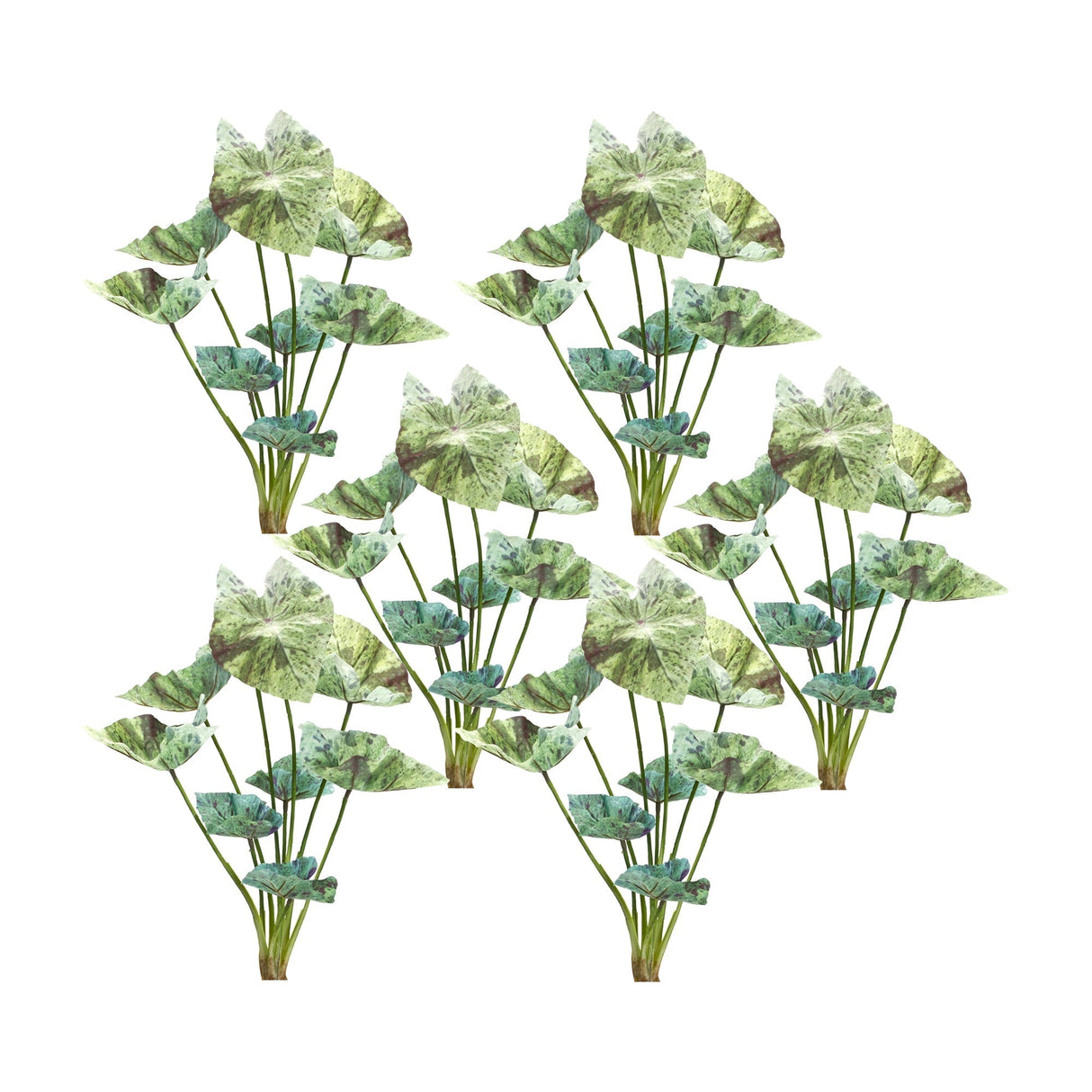 Varigated-caladium-foliage-bush-(set-of-6)-Artificial-Flowering-Plants