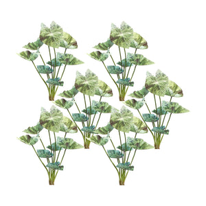Varigated-caladium-foliage-bush-(set-of-6)-Artificial-Flowering-Plants