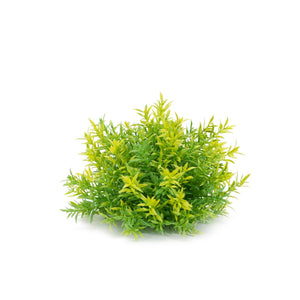 Mini leaf half orb (set of 6)