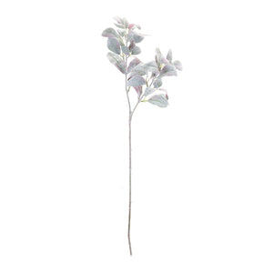 Lamb's Ear Leaf Bush (Set of 6)