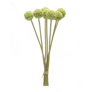 Pod-Bundle-(Set-of-6)-Artificial-Non-Flowering-Plants