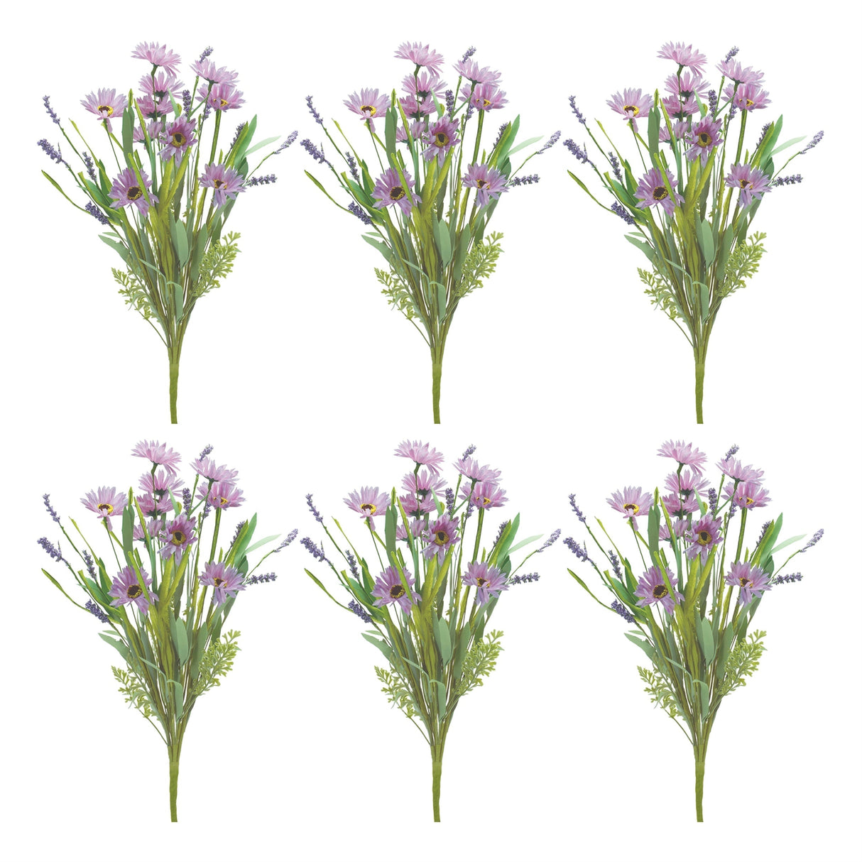Mixed Daisy Bush (Set of 6)