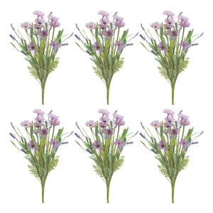 Mixed Daisy Bush (Set of 6)