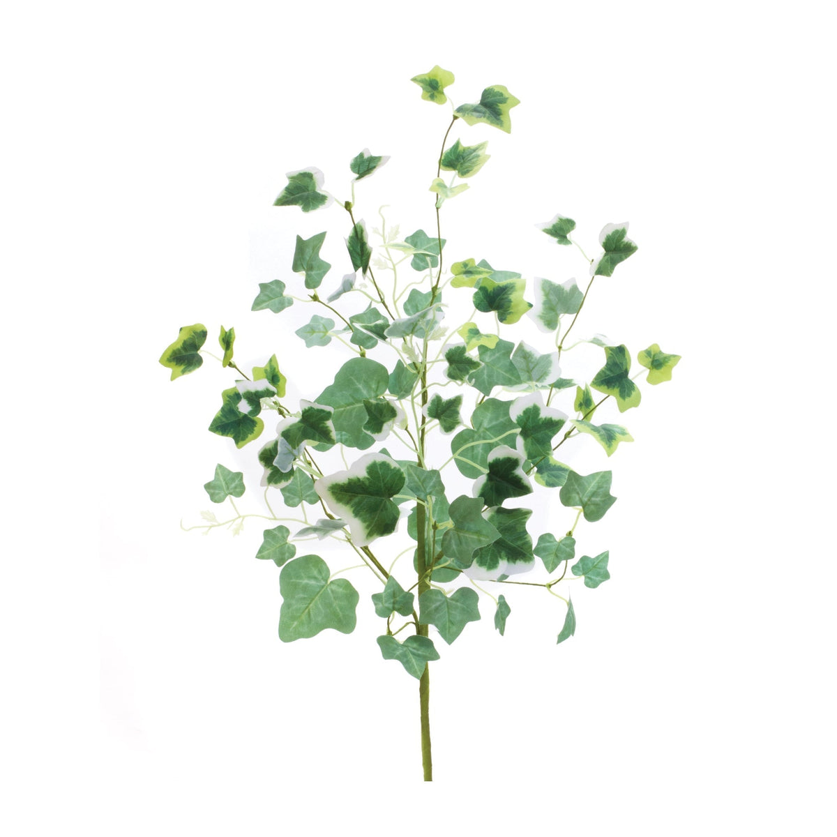 Mixed-ivy-foliage-bush-(set-of-2)-Decorative-Objects