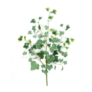 Mixed-ivy-foliage-bush-(set-of-2)-Decorative-Objects