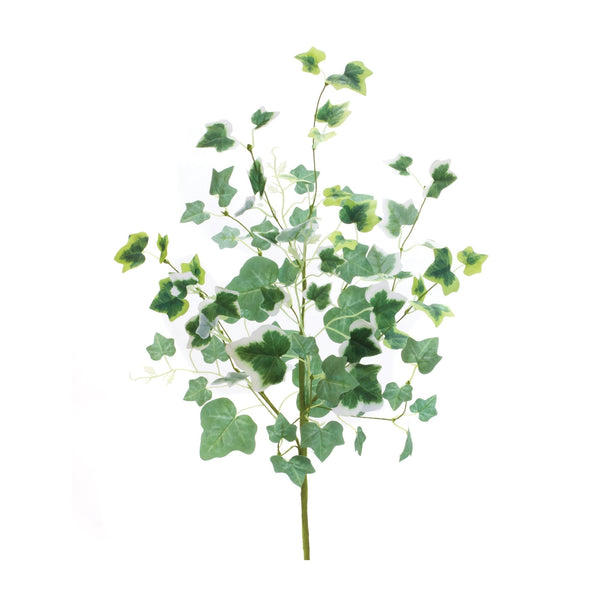 Mixed-ivy-foliage-bush-(set-of-2)-Decorative-Objects