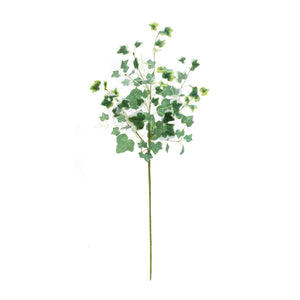 Mixed ivy foliage bush (set of 2)