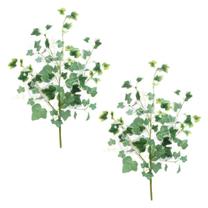Mixed ivy foliage bush (set of 2)
