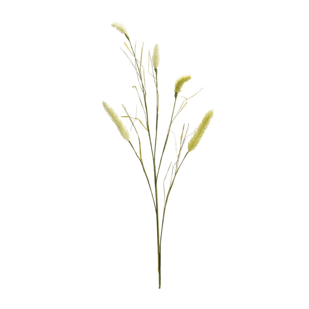 Foxtail-Spray-(Set-of-6)-Artificial-Flowering-Plants