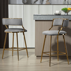 Counter Height Bar Stools With Powder Coating Base And Footrest (Set of 2) -