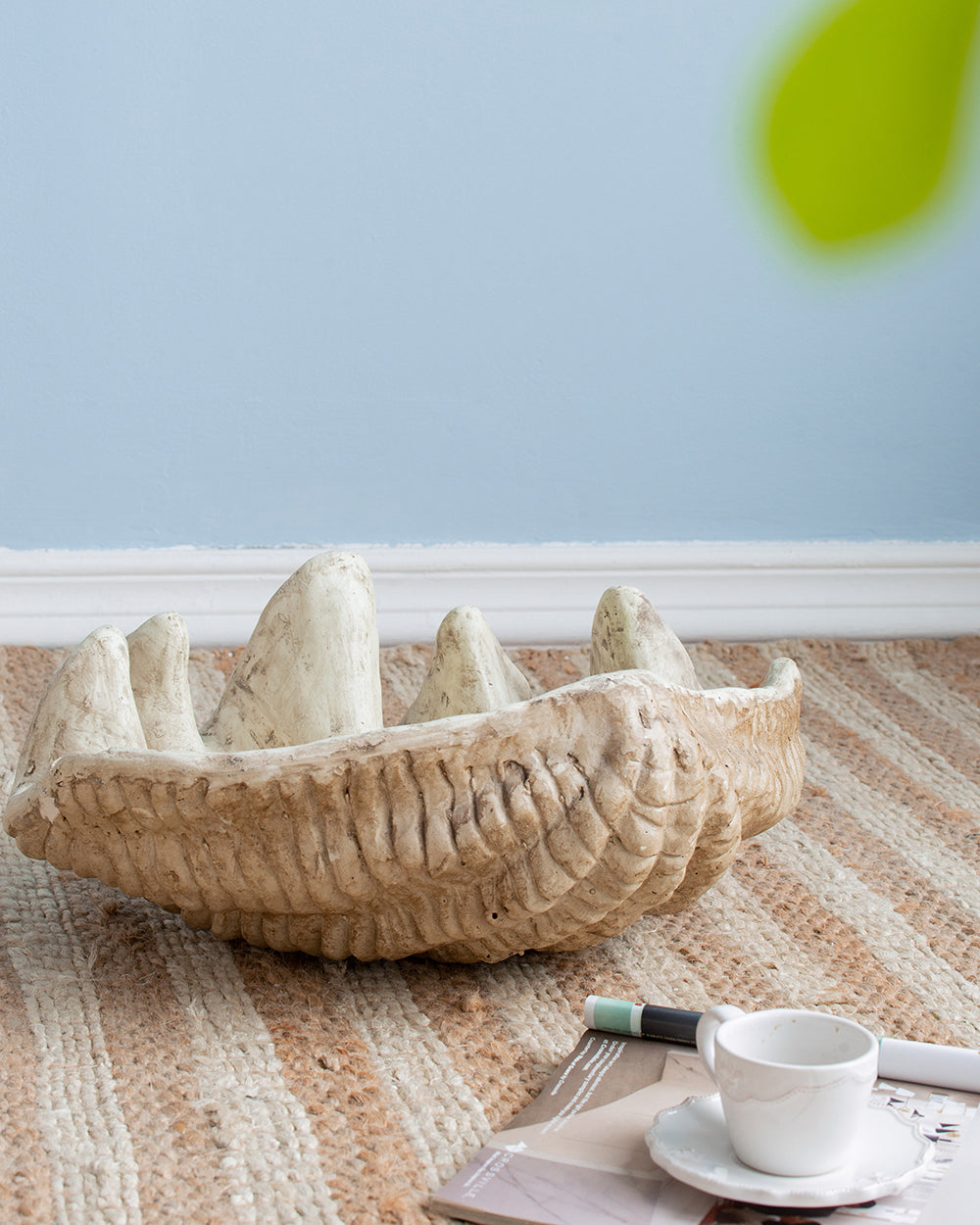 Medium Clam Shell Accent