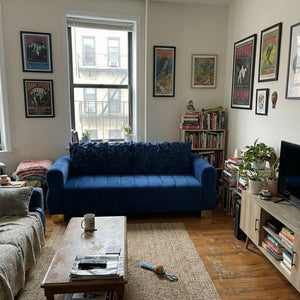 FX-P56-RBH Velvet Sofa