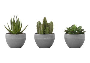 Artificial Succulent Plants (Set of 3)