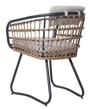 Outdoor Wicker Dining Chairs Set of 2 with Cushions