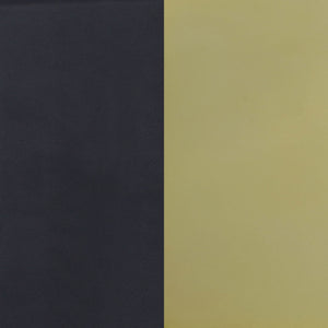 Dining Chairs (Set of 2) - Black / Gold