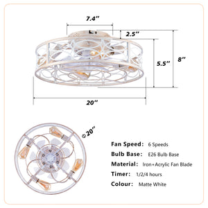 20" Caged Ceiling Fan with Lights and Remote Control
