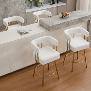 Decorative Upholstered Side Chair For Living Room (Set of 2)