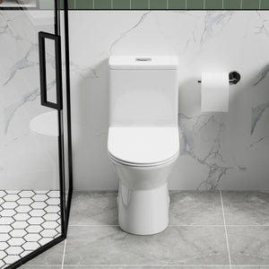 1 Piece Toilet With Dual Flush & Rimless Bowl - Glossy White