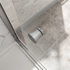 Brushed Nickel Reversible Installation Double Bypass Sliding Shower Door