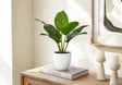 17" Tall, Artificial Plant, Aureum, Indoor, Faux, Fake, Table, Greenery, Potted, Real Touch, Decorative - Green / White - Best Buy Furniture