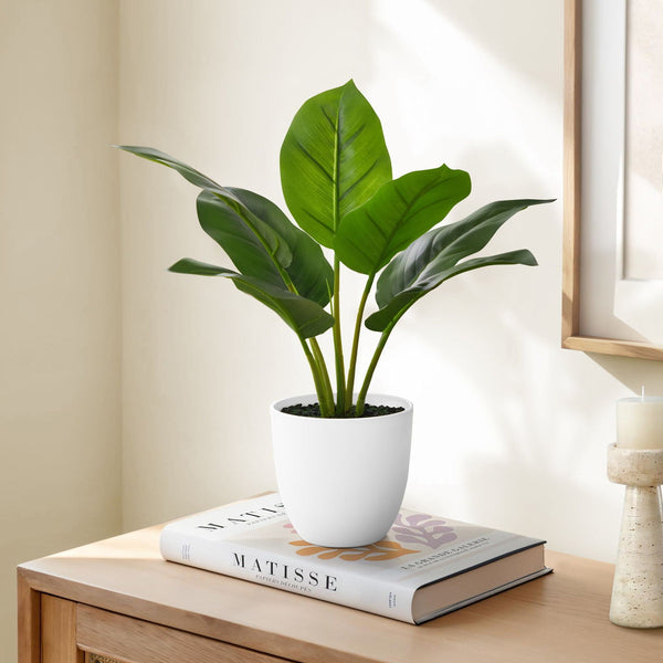 17" Tall, Artificial Plant, Aureum, Indoor, Faux, Fake, Table, Greenery, Potted, Real Touch, Decorative - Green / White - Best Buy Furniture