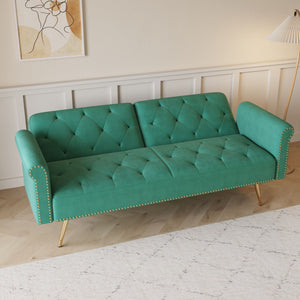 Luxurious Sofa Bed With Nail Head Trim And Matching Pillow