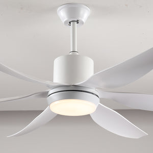6 PCS ABS Blades 56" Ceiling Fan With Light Kit