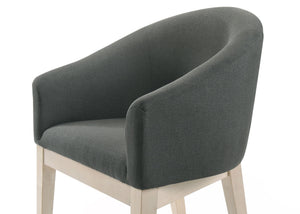 Neroli - Barrel Accent Chair (Set of 2) - Gray
