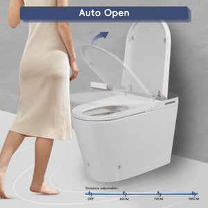 Tankless Smart Toilet With Bidet Built In